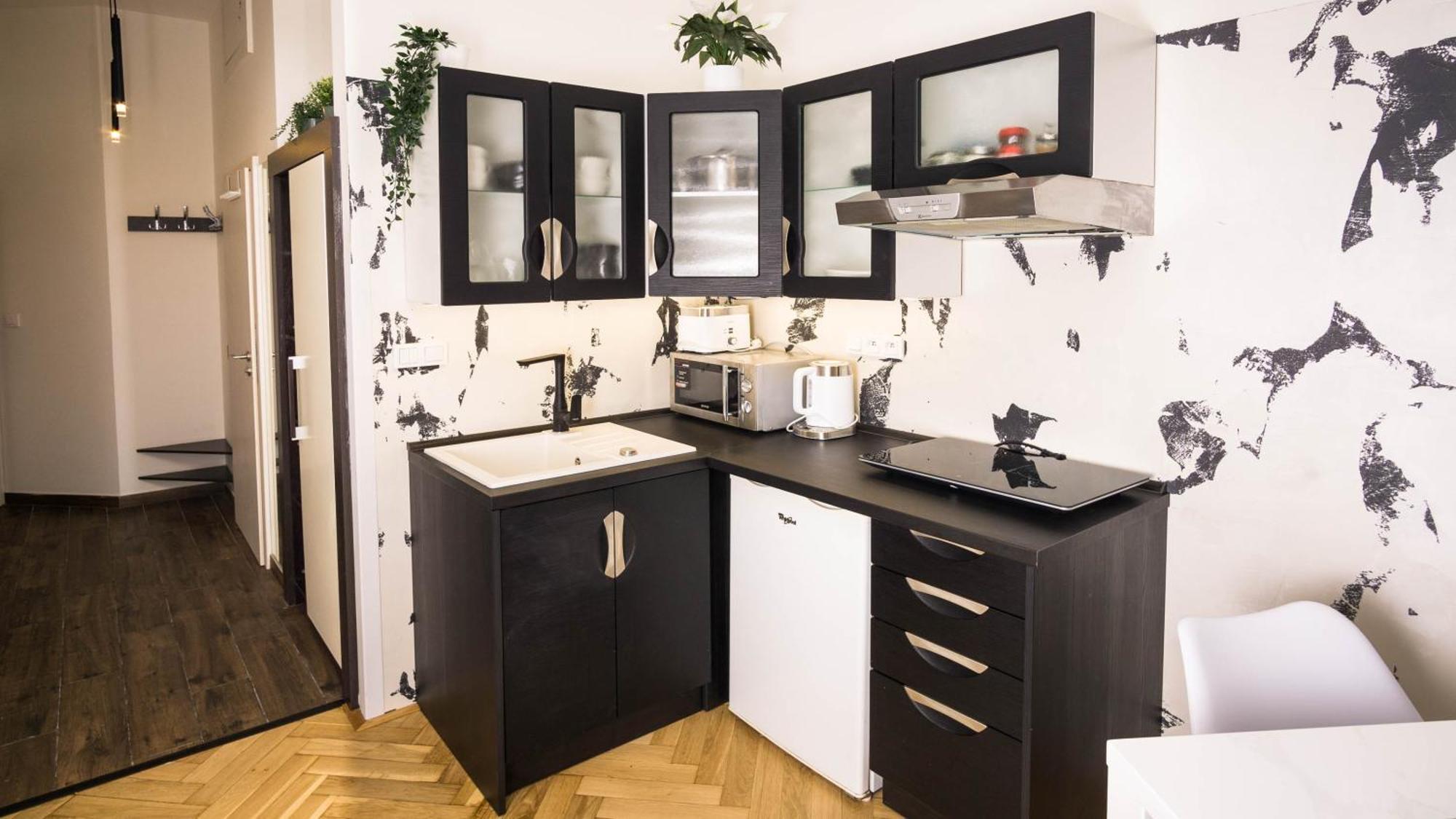 Black & White Apartment Prague By Wenceslas Square And Muzeum エクステリア 写真