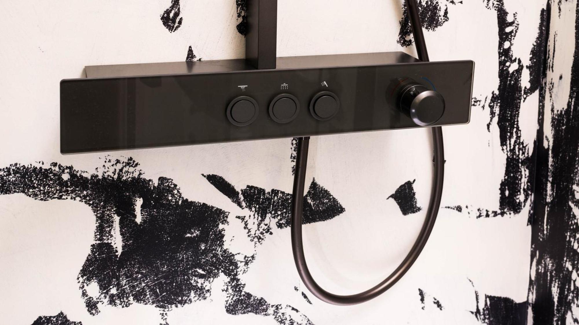 Black & White Apartment Prague By Wenceslas Square And Muzeum 部屋 写真