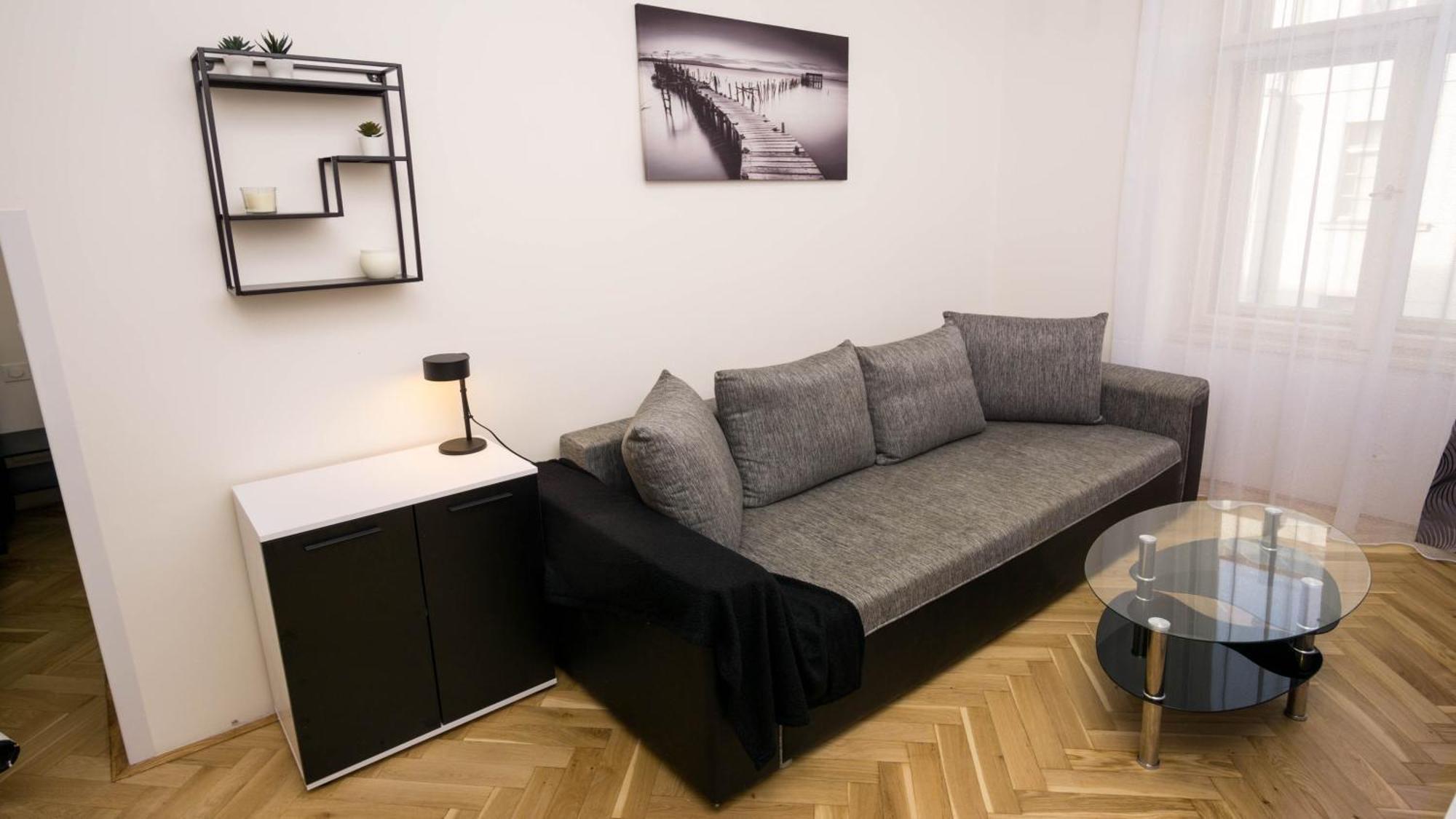 Black & White Apartment Prague By Wenceslas Square And Muzeum 部屋 写真